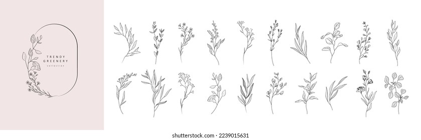 Flores de lujo y elementos botánicos de moda. La línea dibujada a mano deja ramas y florece. Boda de flores silvestres elegantes para invitación, salva la tarjeta de fecha. Vector de moda