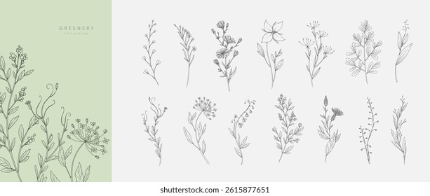Set of luxury flowers and trendy botanical elements. Hand drawn line leaves branches and blooming. Wedding elegant wildflowers for invitation save the date card. Vector trendy