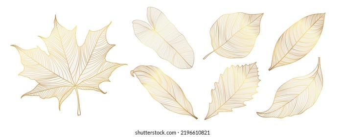 Set of luxury foliage vector element. Collection of botanical with tropical leaves, maple, autumn plant, spring in gold hand drawn pattern. Elegant oriental flowers for decorative, prints, logo.