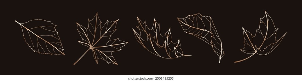 Set of luxury foliage vector element. Collection of botanical with  leaves, maple, oak, autumn plant, spring in gold hand drawn pattern. Elegant oriental flowers for decorative, prints, logo.