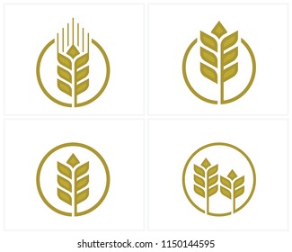 Set of Luxury Grain wheat logo concept, Agriculture wheat Logo Template vector icon