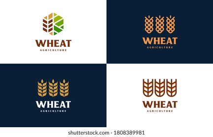 set of Luxury Grain wheat logo concept, Agriculture wheat Logo Template vector icon