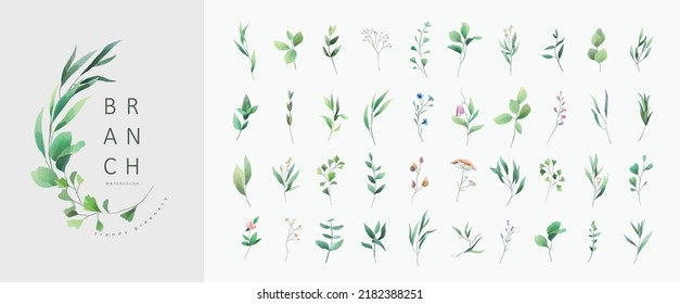 Set of luxury green leaves and flowers elements in watercolor style. Aquarelle trendy greenery branches and blooming. Vector isolated on white background for Invitation, greeting card, save the date.
