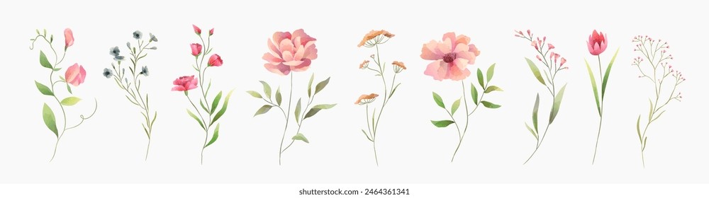 Set of luxury green leaves and flowers elements in watercolor style. Aquarelle trendy greenery branches and blooming. Vector isolated on white background for Invitation, greeting