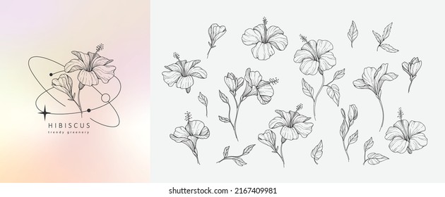 Set of luxury hibiscus flowers and logo. Trendy botanical elements. Hand drawn line leaves branches and blooming. Wedding elegant wildflowers for invitation save the date card. Vector trendy greenery
