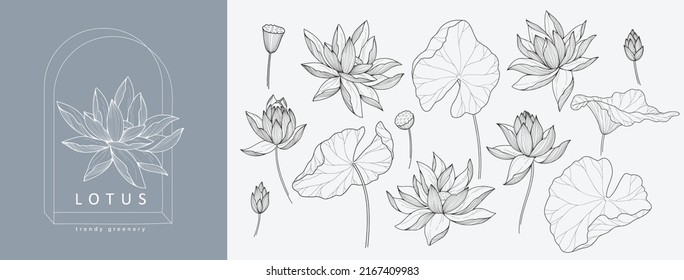 Set of luxury lotus flowers and logo. Trendy botanical elements. Hand drawn line leaves branches and blooming. Wedding elegant wildflowers for invitation save the date card. Vector trendy greenery