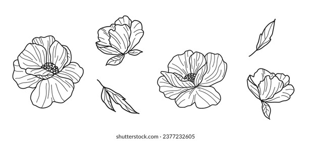 Set von luxuriösen Vektorblumen und Blättern. Trendy botanische Elemente auf isoliertem weißem Hintergrund. Handgezeichneter Zweig und Blumen. Hochzeitselegante Wildblumen für Einladung, Dekoration, Druck.	