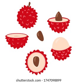 set of lychee fruit. flat simple illustration cartoon. use it for poster, print, logo, cooking books and other