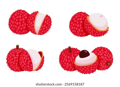 set of Lychee fruit vector Cartoon isolated on white background
