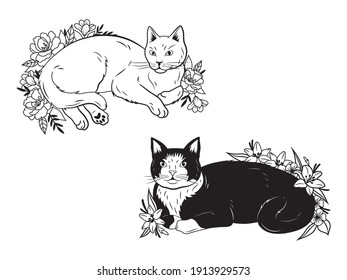 Set of lying flower cat. Collection of cute floral domestic animal. Vector illustration on white background.