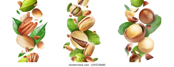 Coloca nueces de macadamia, pecas, pistachos. Ilustración vectorial.