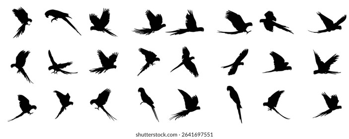 Set of macaw parrot vector illustration
