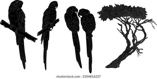 Set Ara und Baum natürlichen Look Schwarz Vektor Silhouette Design-Element