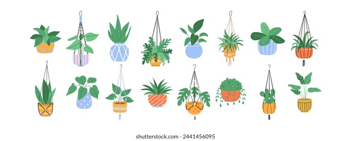 Set of macrame hangers. Home plants in stylish planters and pots. Vector illustration