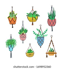 Set of macrame hangers for house plants growing in pots isolated on a white background. Cute bundle of home plants for cozy interior. My secret garden. Vector illustration.