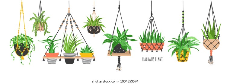 Set of macrame hangers for plants growing in pots. Bundle of hanging planters made of cotton cord, beautiful handmade home decorations isolated on white background. Cartoon flat vector illustration.