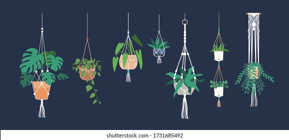 Juego de perchas de macrame para plantas que crecen en macetas.  Dibujo vectorial plano de dibujos animados.