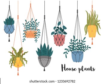 Set of macrame hanging plants in pots. Hangers with potted indoor garden flowers. Handmade home decorations made of cotton rope or cord.Hand drawn cartoon, Scandinavian Hygge style.Vector illustration