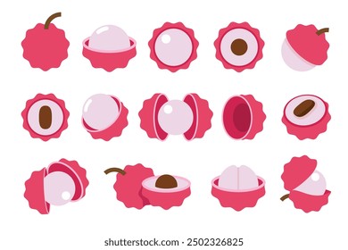 Set of Magenta Litchi, Farm fresh Litchi product emblem for grocery shop, Slides, long and cross sections, and different positions, simple flat vector illustration of vegetables and fruits.