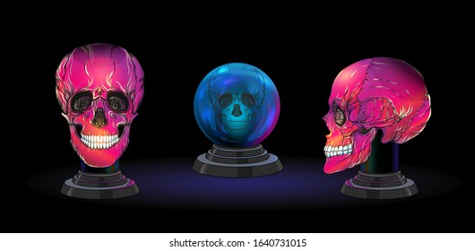 Set of magic ball and human skulls for witchcraft. Elements for design. Colored vector illustration..