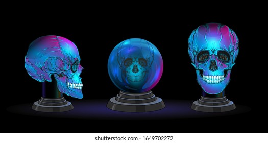 Set of magic ball and human skulls for witchcraft. Elements for design. Colored vector illustration..