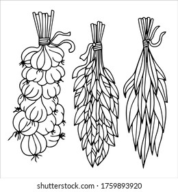 set of magic, bunch of garlic, dried herbs for potion, items vector illustration isolated on white background