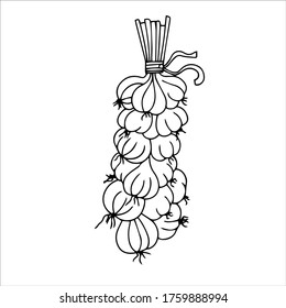 set of magic, dried herbs for potion, bunch of garlic, items vector illustration isolated on white background