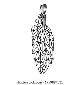 set of magic, dried herbs for potion, items vector illustration isolated on white background
