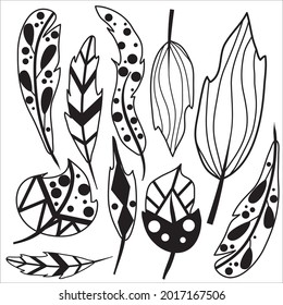 A set of magic feathers. Ingredients for witchcraft and spells. Abstract pen icons. Patterns. Feathers. Zentangle design. Elements for the design. Printing for printing, posters, T-shirts and textiles