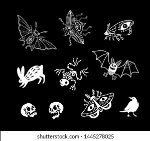 Set of magic illustrations. Animals, insects and skeletons. Witch kit. For Halloween and more.