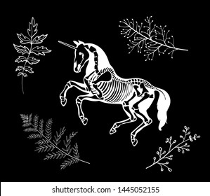 Set of magic illustrations. Unicorn among the magical herbs. For Halloween and more.