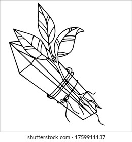 set of magic items magic crystals with a plant vector illustration isolated on white background