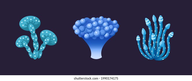 Set of magic mushrooms with different shapes isolated on dark background.