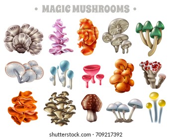 Set of magic mushrooms of various shape and color with bubbles and red droplets isolated vector illustration