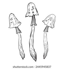 Set of magic poisonous mushrooms. Tattoo fungus design, trendy romance symbol. Witch amanita mushrooms for Halloween. Vector sketch toadstool illustration