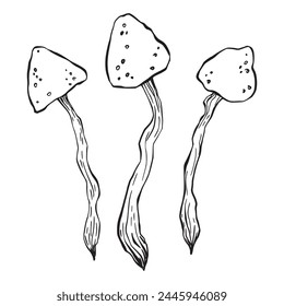 Set of magic poisonous mushrooms. Tattoo fungus design, trendy romance symbol. Witch amanita mushrooms for Halloween. Vector sketch toadstool illustration