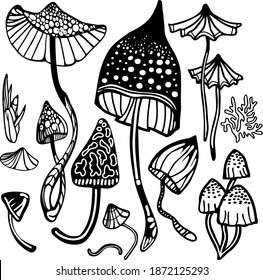 Set of magic psychedelic mushrooms. Coloring page hallucinogenic, fantazy mushrooms. Black and white isolated vector illustration.