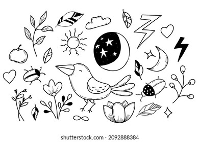 Set of magic signs, beetle and crow, flower and moon with starry sky in handmade linear doodle style. Vector illustration. Isolated elements.