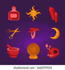 Set for magic witches. The sun and the moon, scissors, a magic ball, a skull with toadstools, mushrooms and bottles of potion and poison. Halloween holiday. Flat vector illustration.
