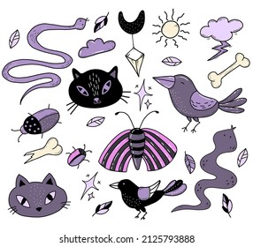 set of magical amulets, symbols and witchcraft beasts. Black cat and snake, crow and beetle, moth and butterfly. Vector illustration. Isolated elements.