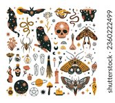 Set of magical animals and witchcraft design elements. Mystical themed hand drawn vector illustrations. 