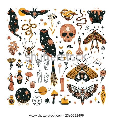 Set of magical animals and witchcraft design elements. Mystical themed hand drawn vector illustrations. 
