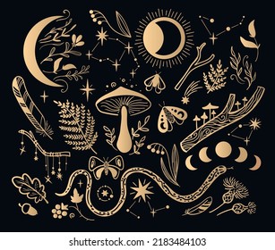 Set of magical forest golden vector elements on a black background. Can be used for prints, textiles and logos.