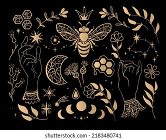 Set of magical golden vector elements on a black background: bee, honey, moon, plants, star, constellation, flower. Can be used for prints, textiles and logos.