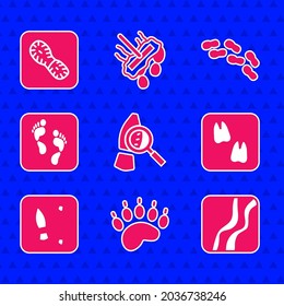 Set Magnifying glass with footsteps, Bear paw footprint, Snake, Camel, Human footprints shoes,  and  icon. Vector