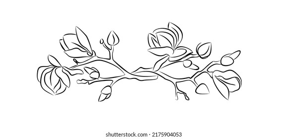 Set of Magnolia branch line art vector illustrations. Trendy hand drawn sketch style black ink illustrations. Modern Jewelry, wall art, tattoo design.
