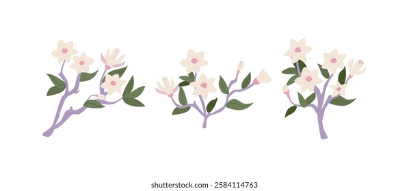 Set of magnolia flower branches. Floral vector flat illustration on isolated background