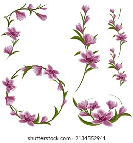 Set of magnolia flower composition.Round frame, branch, corner and seamless element. Warm gentle colors. Vector illustration