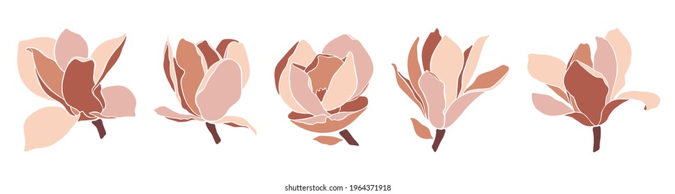 Set of magnolia flowers on white background. Style floral collage in pastel color palette. Modern minimalist art. Illustration for wedding invitation, greeting card, poster, other designs. Vector.