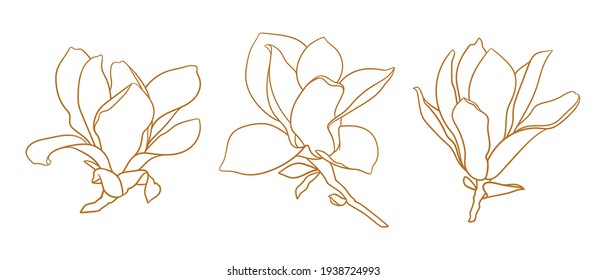 Set of magnolia flowers, thin line drawing on white background. Floral vector sketch in gold color, trendy style. Minimalist art. Illustration for wedding invitation, greeting card, coloring book.